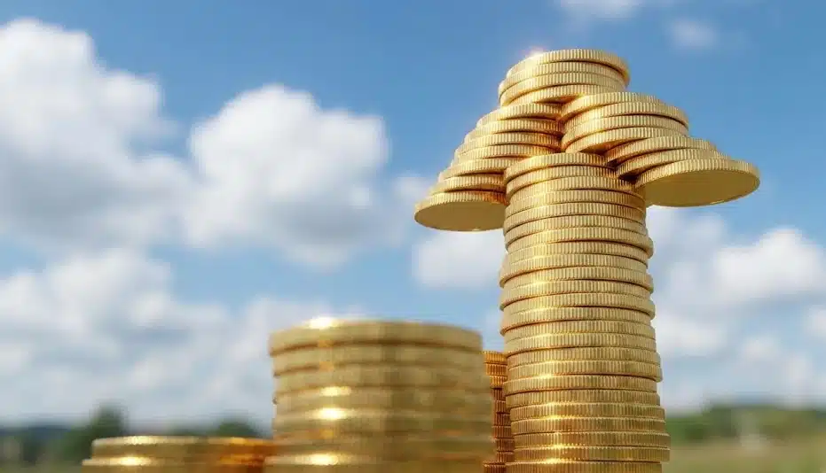 הר של כסף שמסמל מס שבח